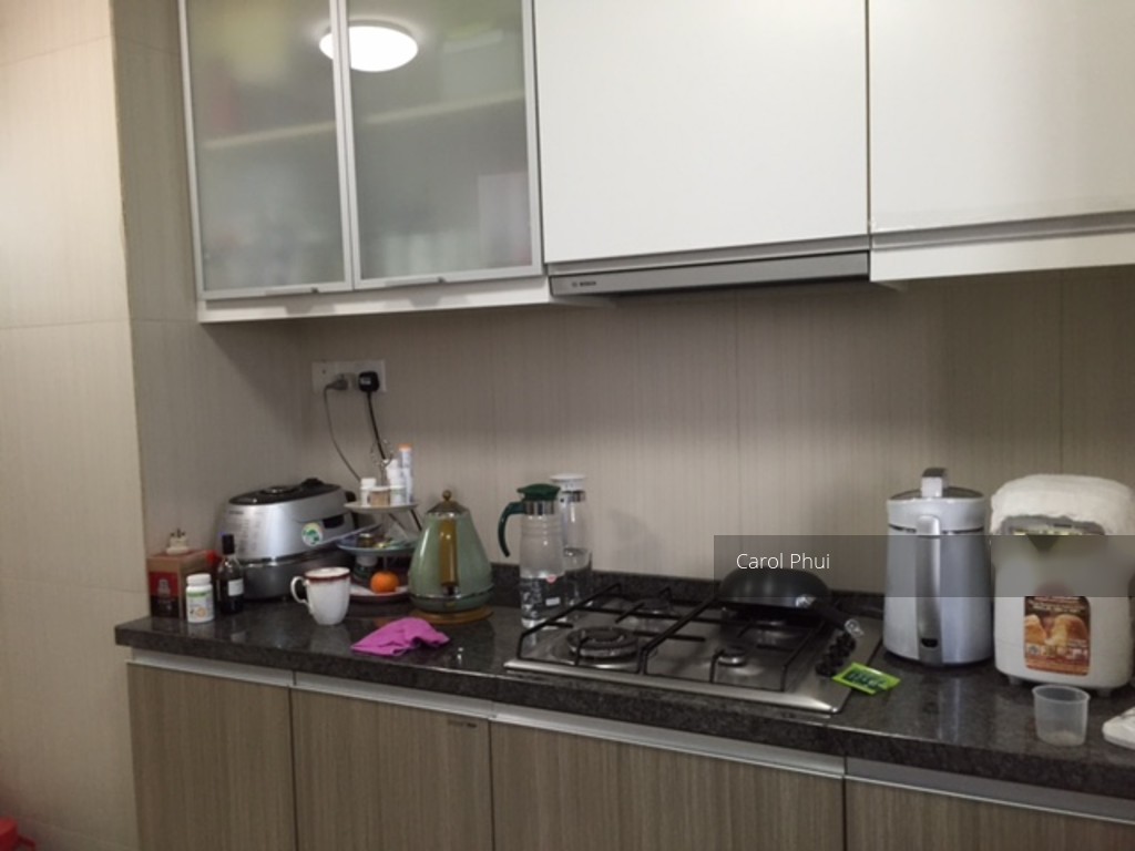 The Metropolitan Condominium (D3), Condominium #114400892